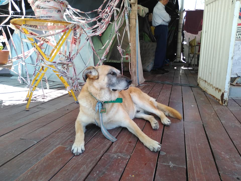 46268704_2409856442363552_5914382120796553216_n