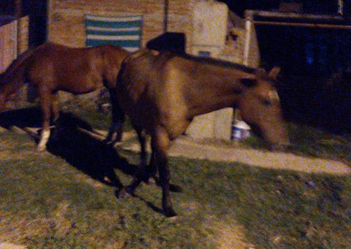 887064fc-a355-4ecb-8e1e-9245faa75c56