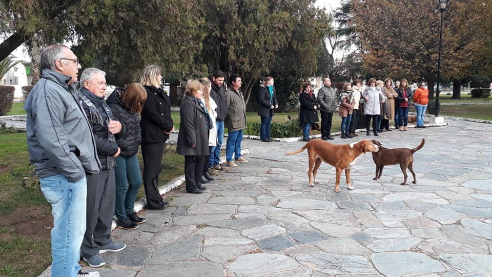 Día de la bandera 8