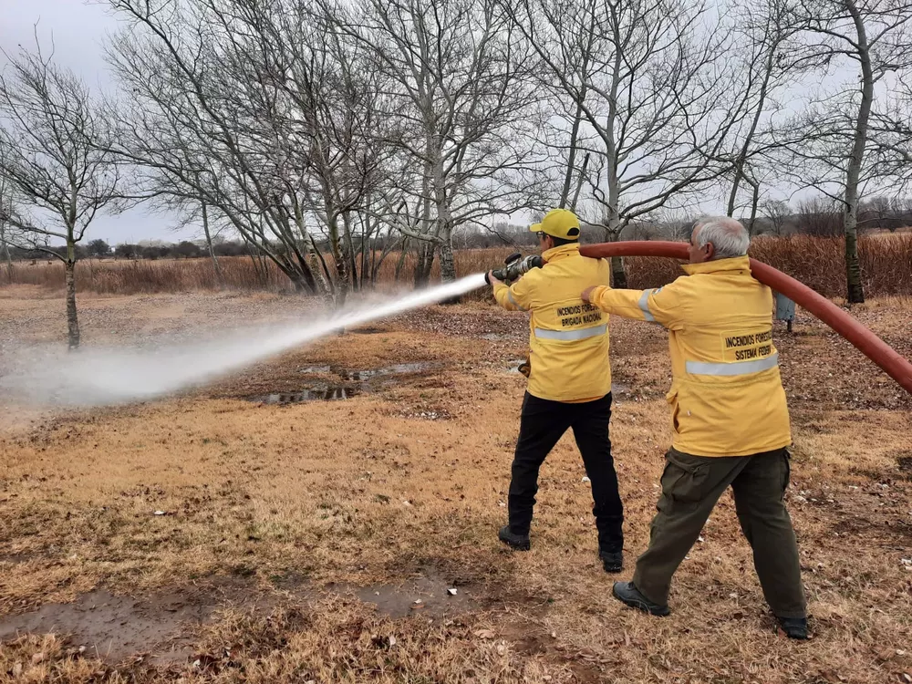 524017_whatsapp-image-2022-07-07-at-10.46.38-am--1-