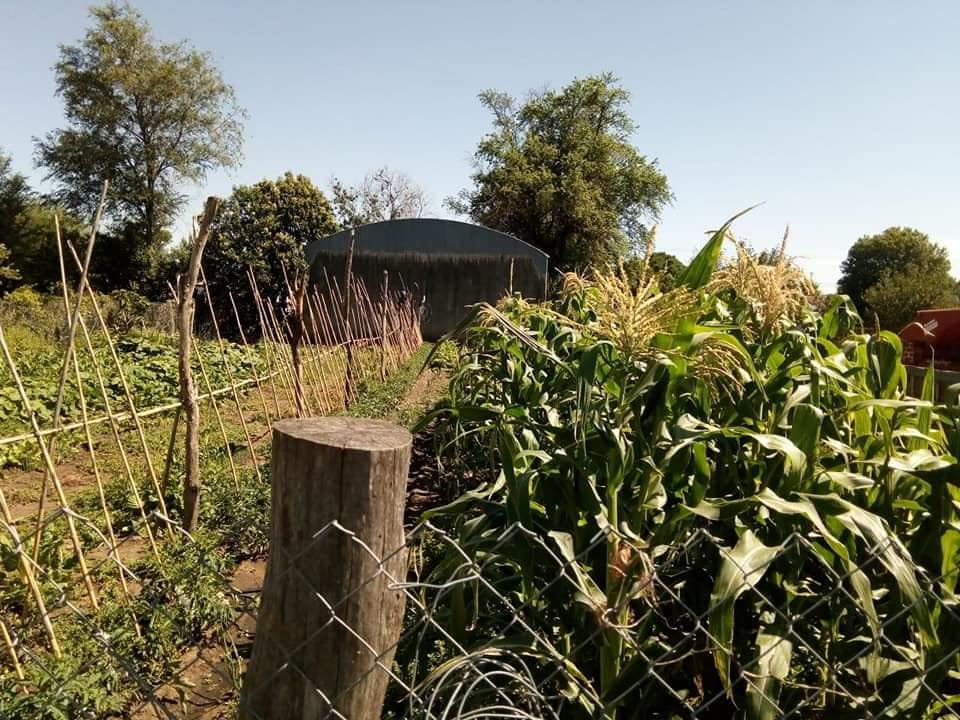 PRODUCTORES AGRICULTURA FAMILIAR 9