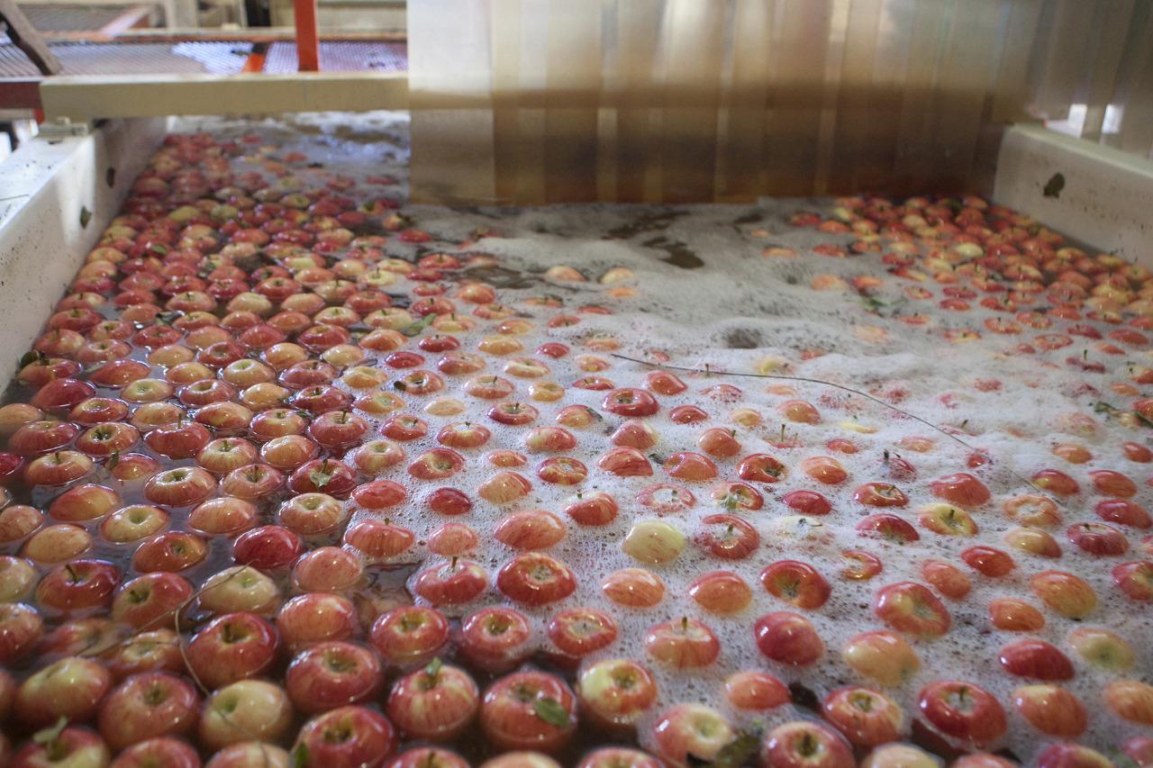 20-05-11_expo_frutas_2