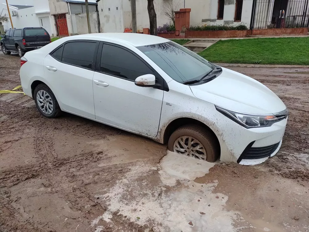 ee6695f0-9e13-43f0-99b0-0c7ade9e3368