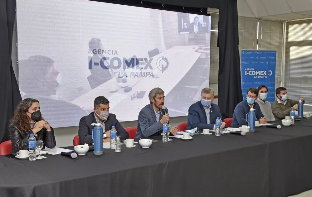 2312816__dsc0624-copia