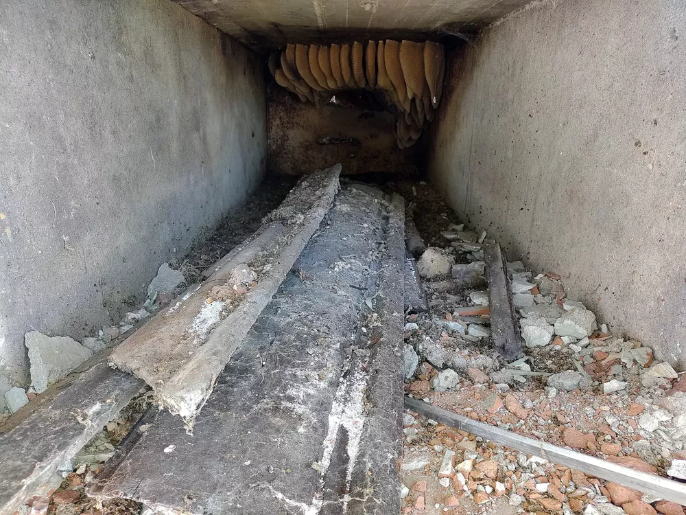 cementerio sarah 1 (FILEminimizer)