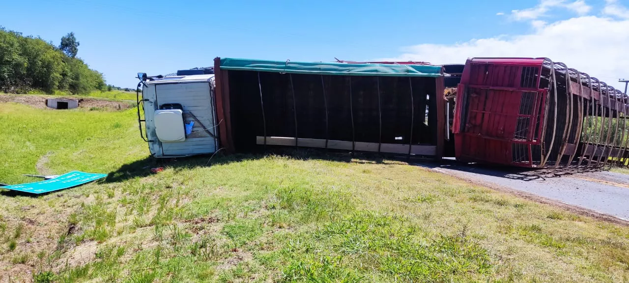 6c3670d9-8a88-4e52-97d6-134e03b4073b