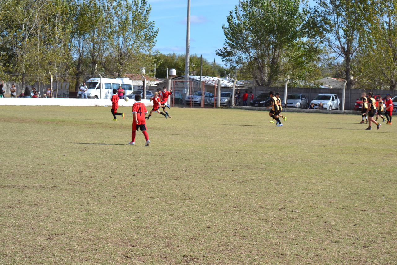 0986674b-aa6e-434e-8bed-8b52e71bdddb