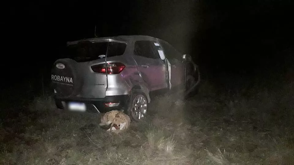 243069295_1089248154943800_39936595195573769_n