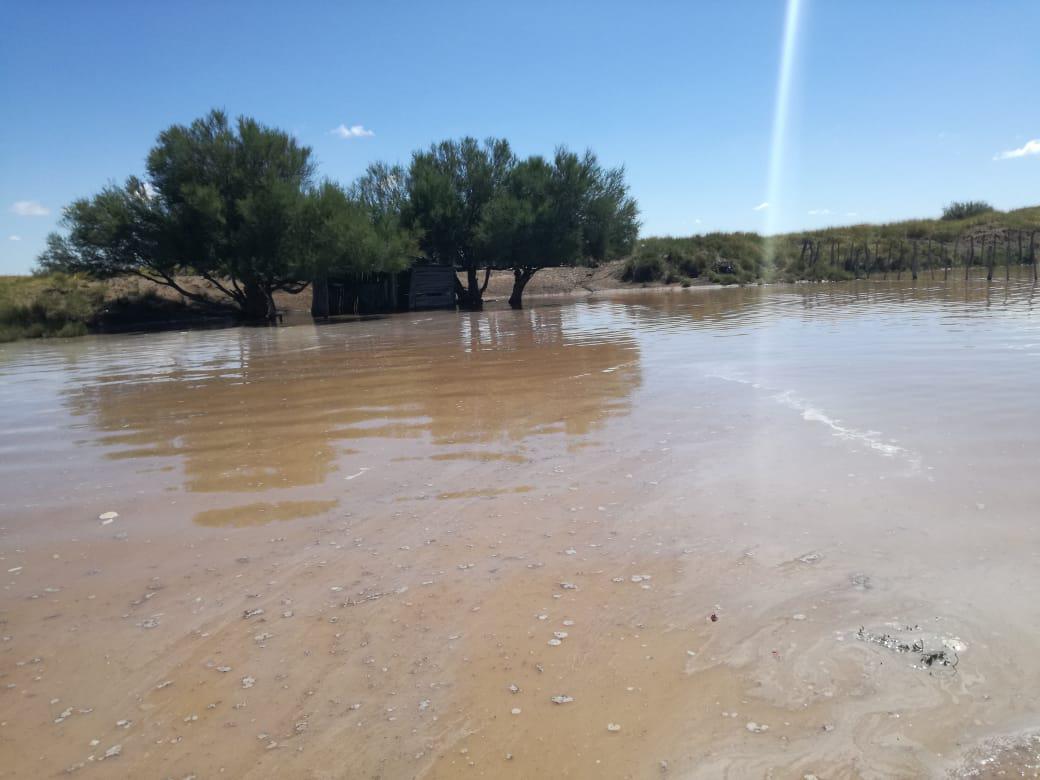 multimedia.normal.a6f11fe4477a8e20.576861747341707020496d61676520323032312d30312d31342061742031342e5f6e6f726d616c2e6a706567