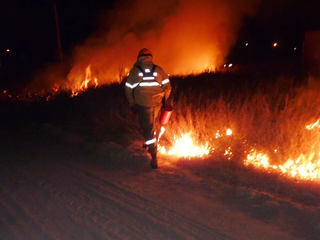 P1140008 (FILEminimizer)