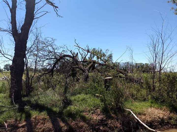 FB_IMG_1546189666785