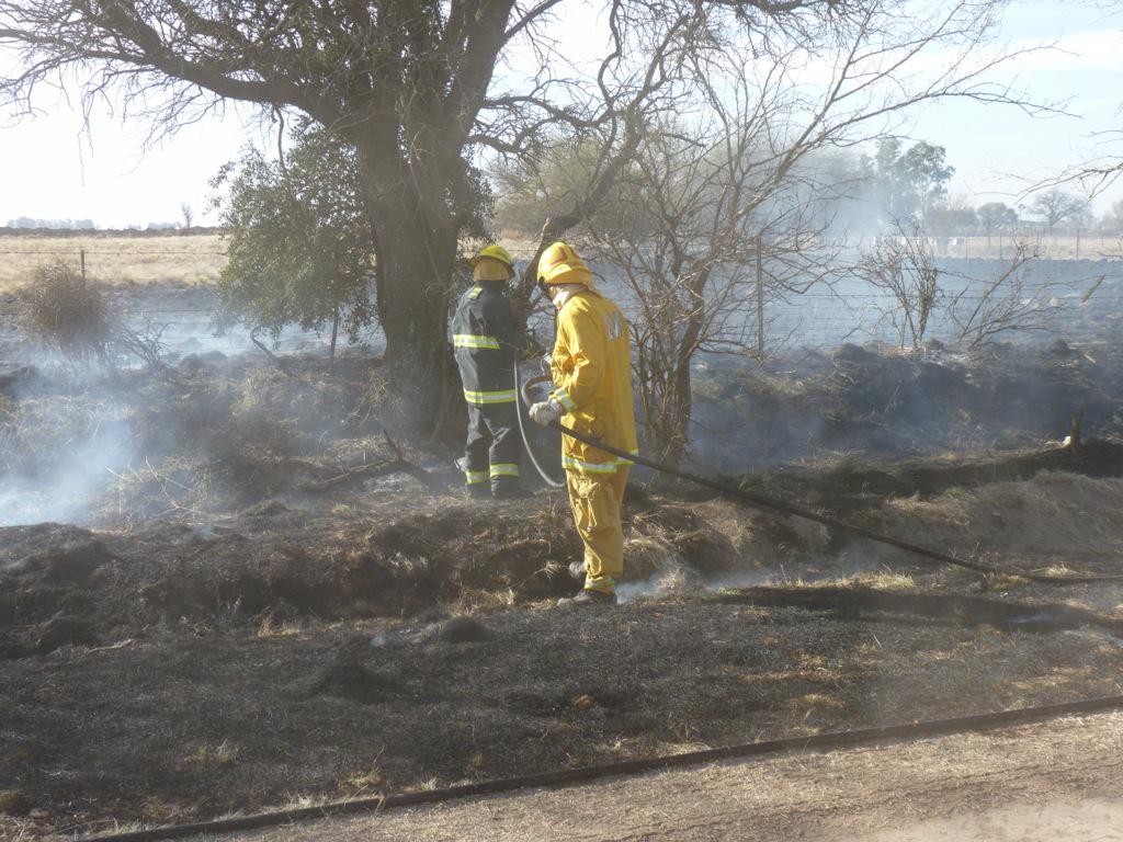 P1050806 (FILEminimizer)