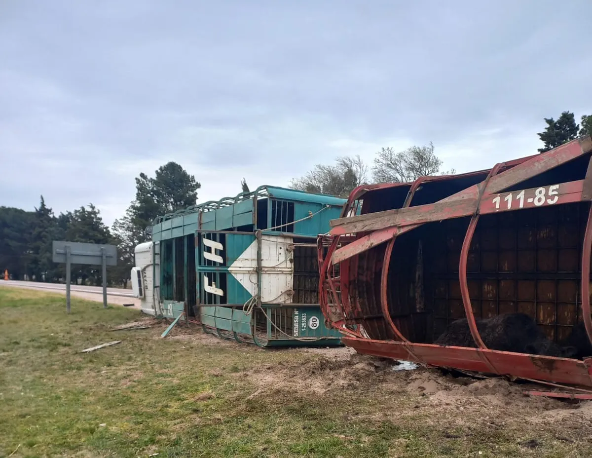 371970602_6764246637021967_4886395736459082718_n