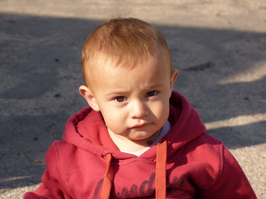 P1240750 (FILEminimizer)