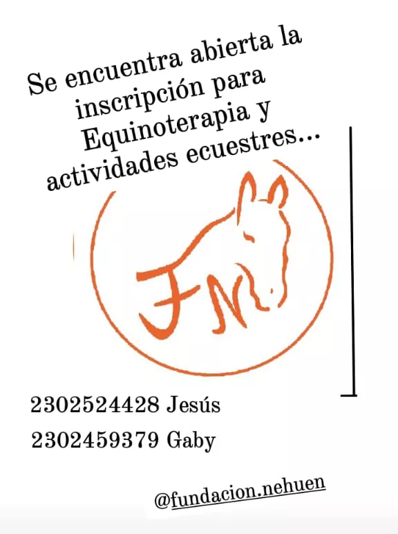 equinoterapia placa