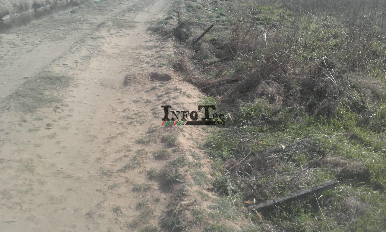 676d7070-0aeb-456a-9e03-d8213eedb00e