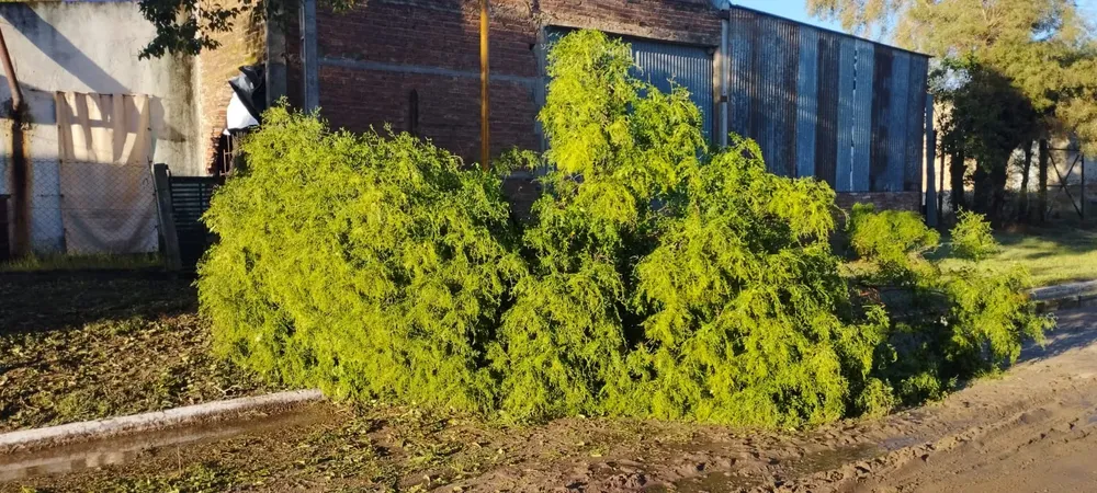 4818f89d-1f44-454e-b113-89072c1706c7