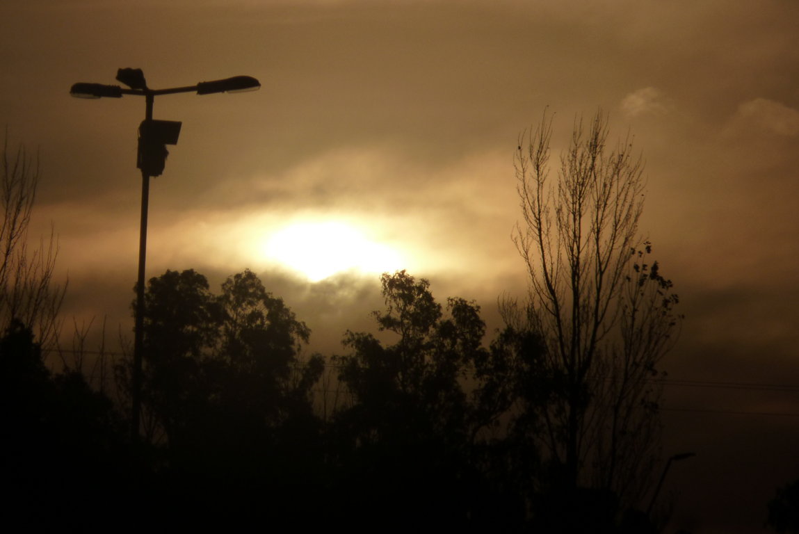 P1390010 (FILEminimizer)