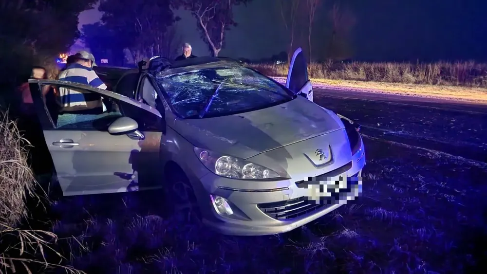 accidente-parque-apicola-3-e1688425649128