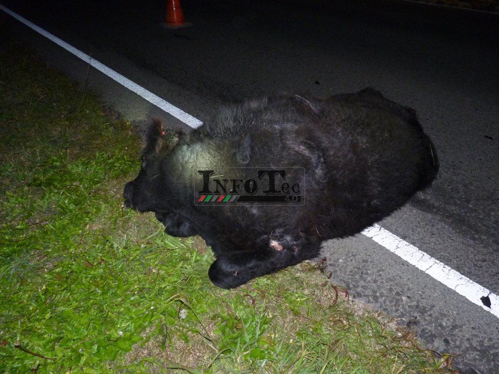 P1200772 (FILEminimizer)