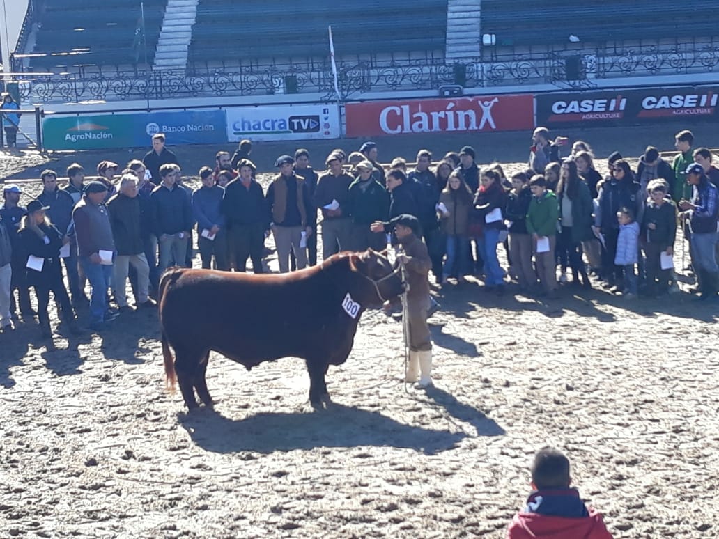 1aebf446-5126-43f7-839a-a1e25e8b87dd