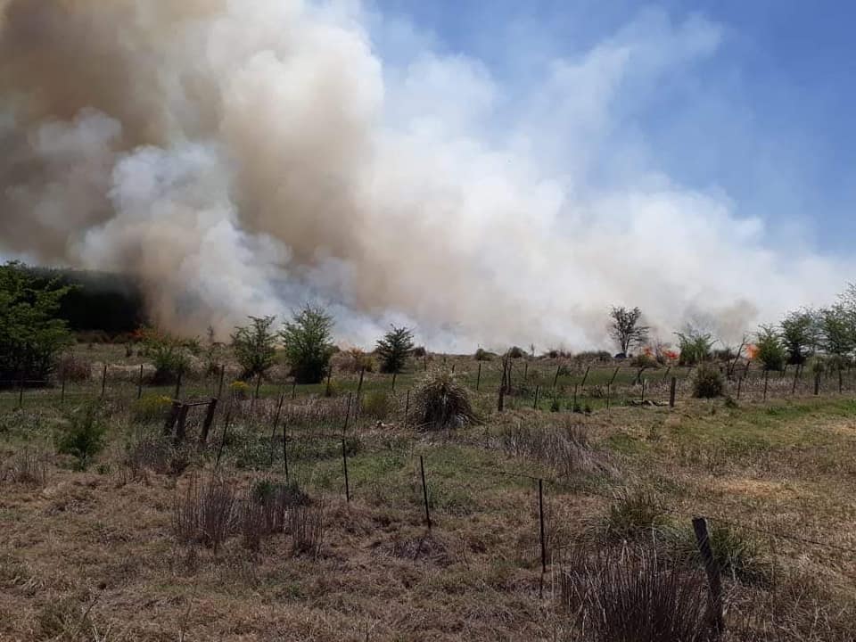 74589973_2778120092199645_7980623490275344384_n