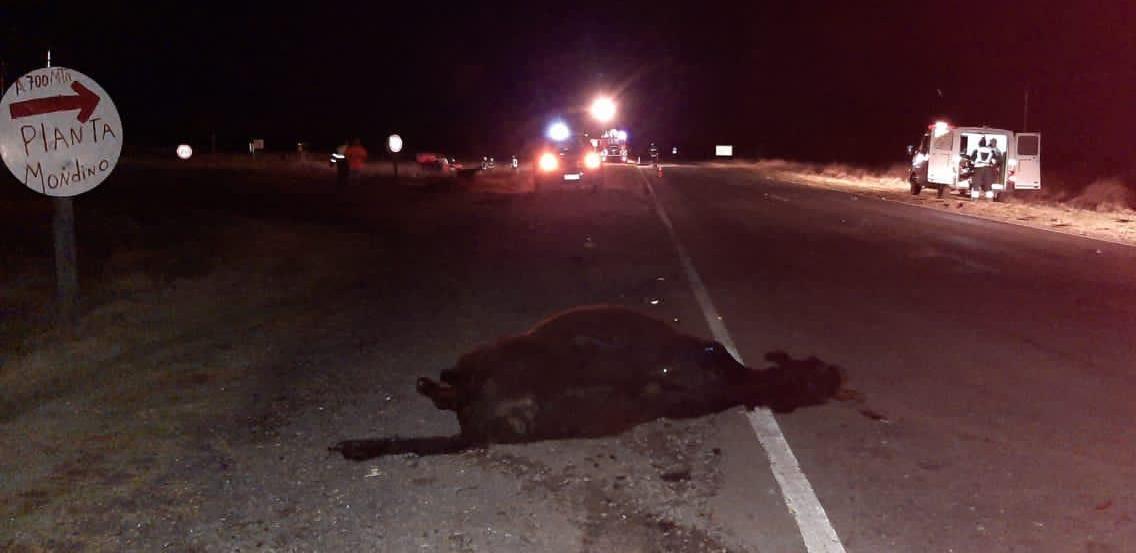 41be8e59-3afe-49dc-bd20-b1f337e8b70c