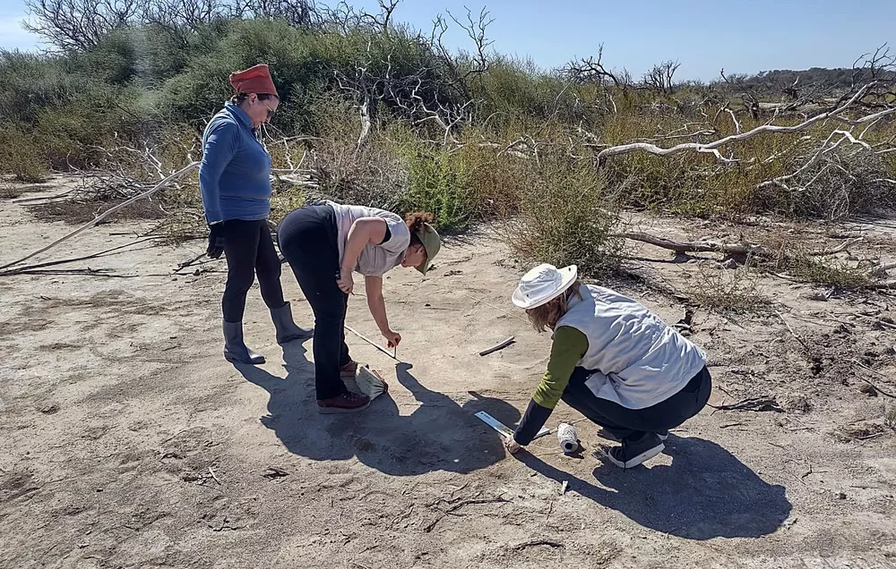 262805c1-2923-4dea-a491-93ec9b65bdc4