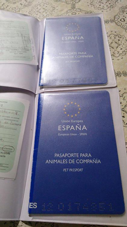 JPWPOC5AANAEVFWK5Q4SRPYBR4