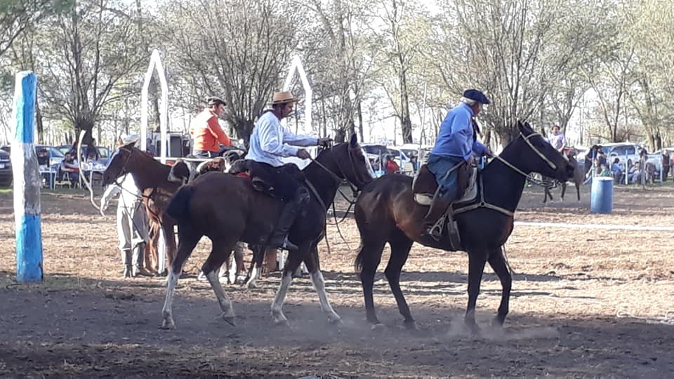 60912449_2464002590278065_3982860526634926080_n