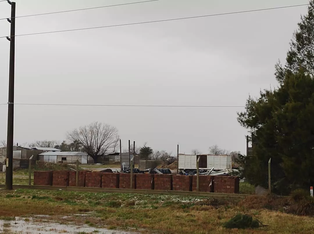 230134262_10159951431273896_8330625216716274118_n