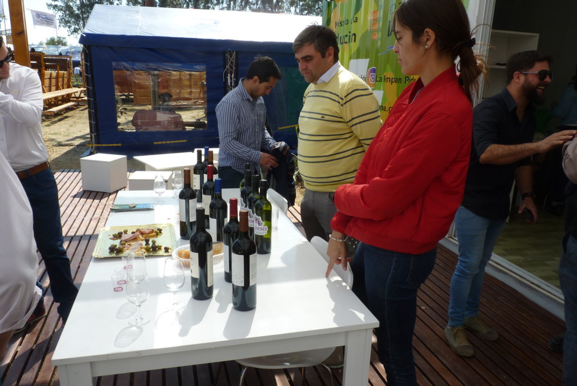 P1410780 (FILEminimizer)