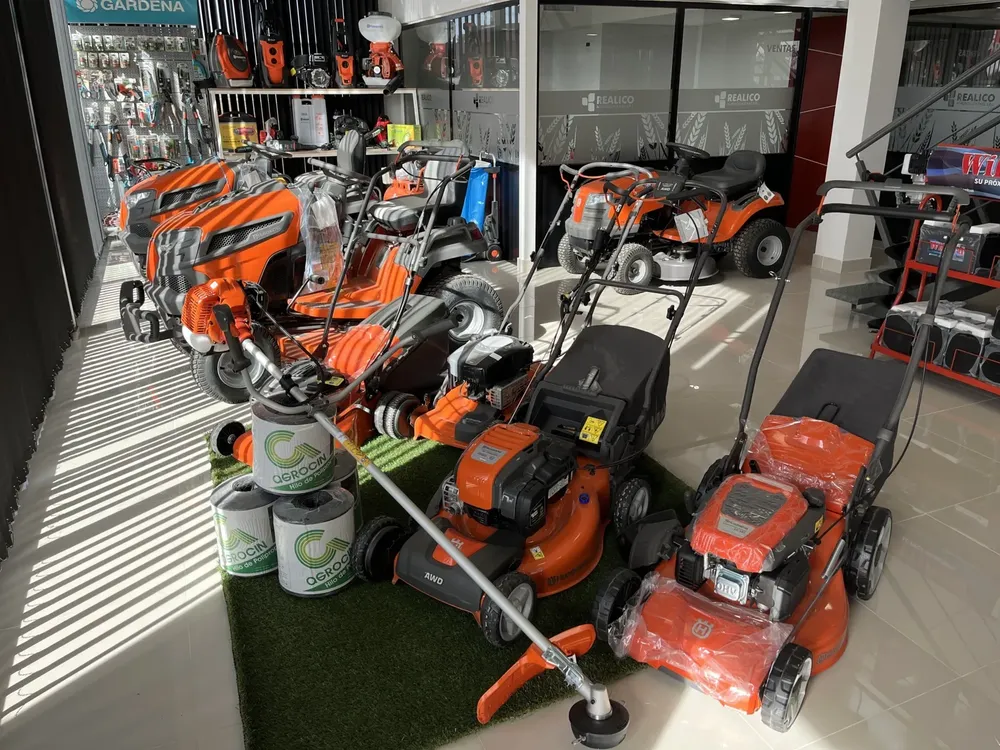 ras 5 (FILEminimizer)