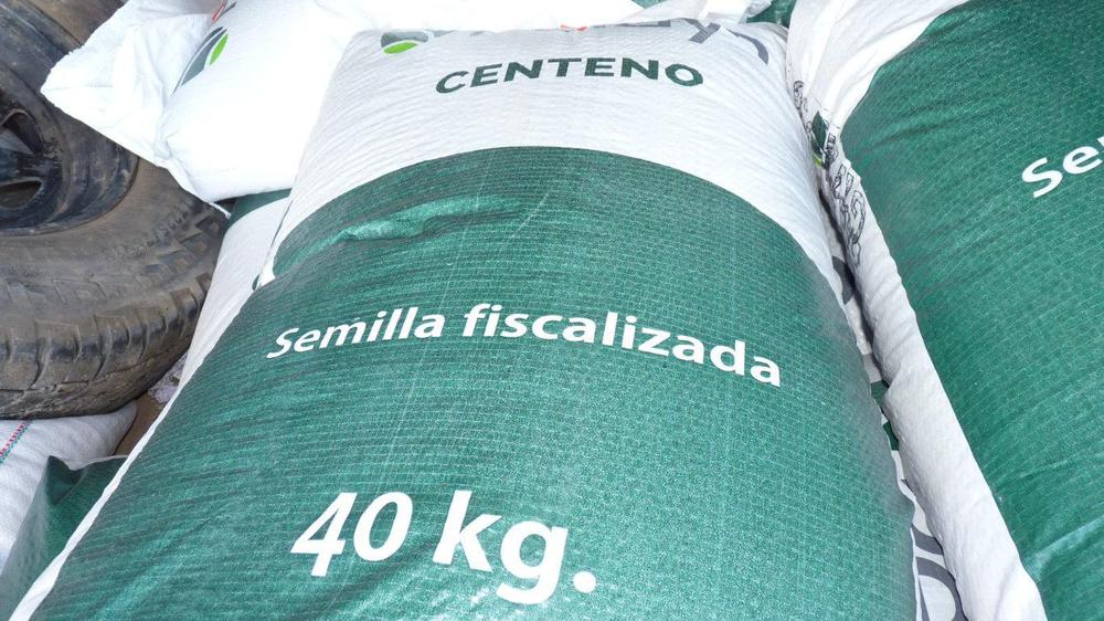 P1090053 (FILEminimizer)