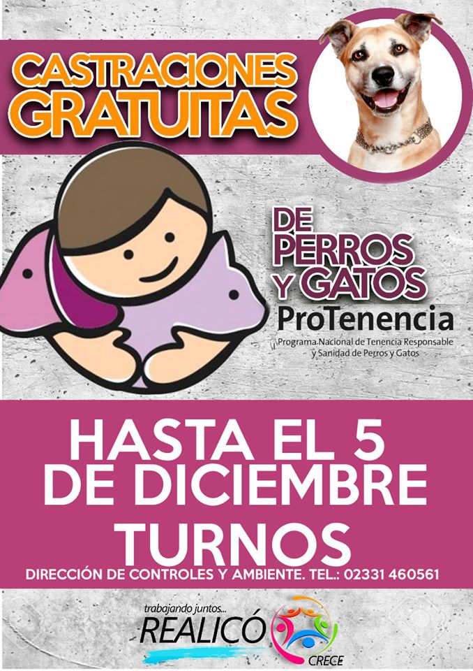 75580369_2893438800688631_6454867488294305792_o