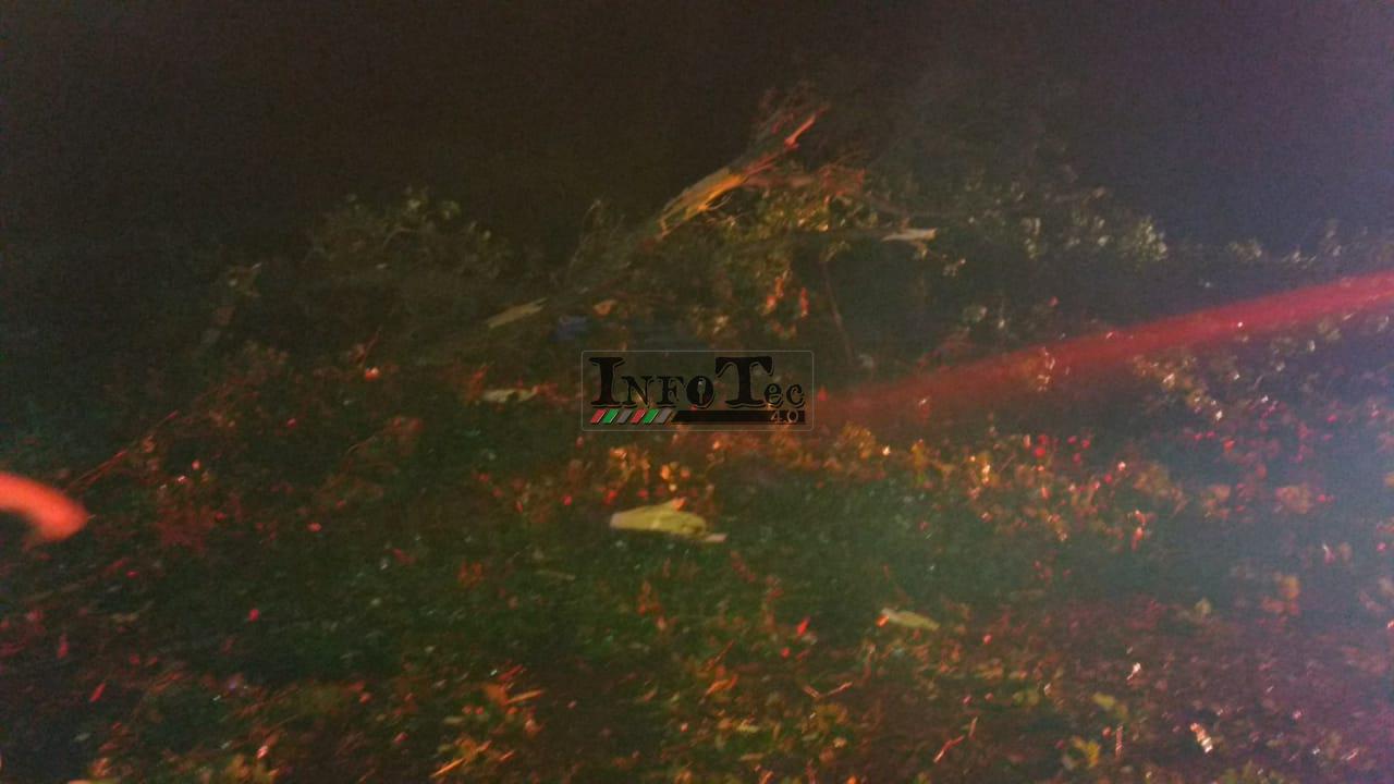 f0fb1113-2045-4089-b95e-1afdfb6fb4e6