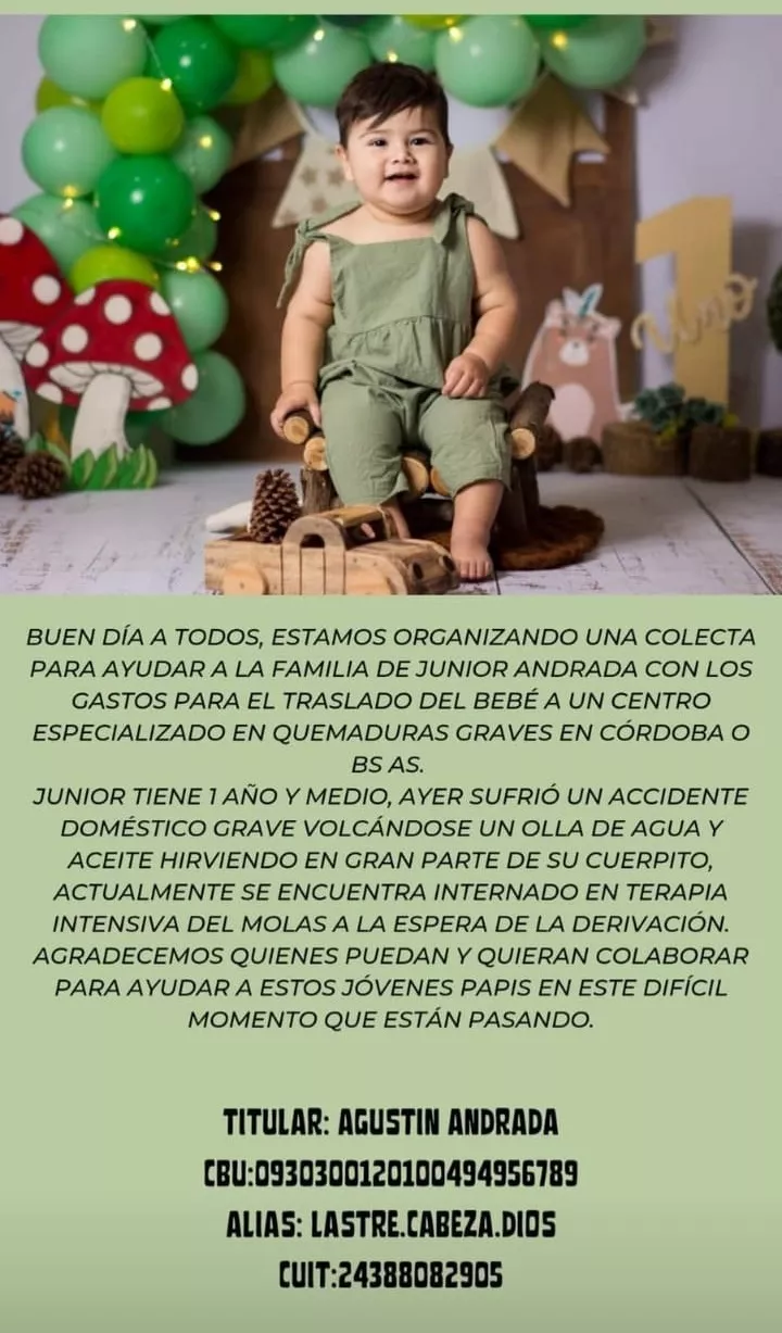 junior campaña
