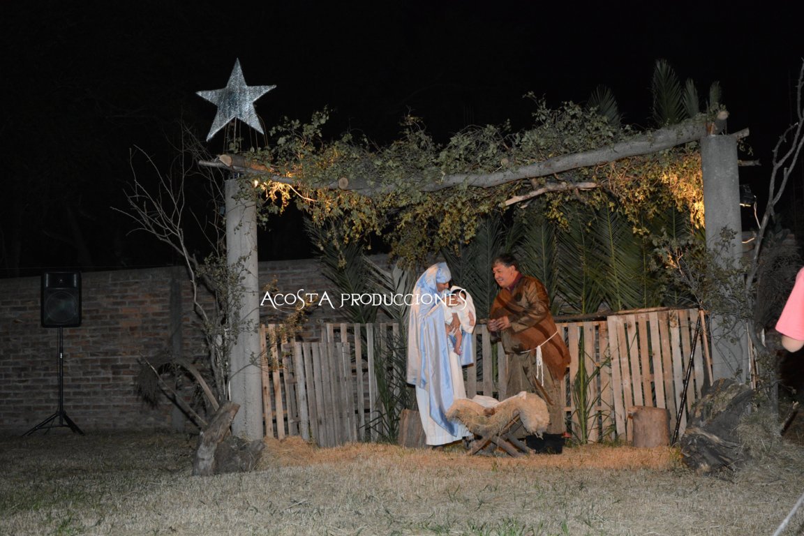 DSC_3507 (FILEminimizer)