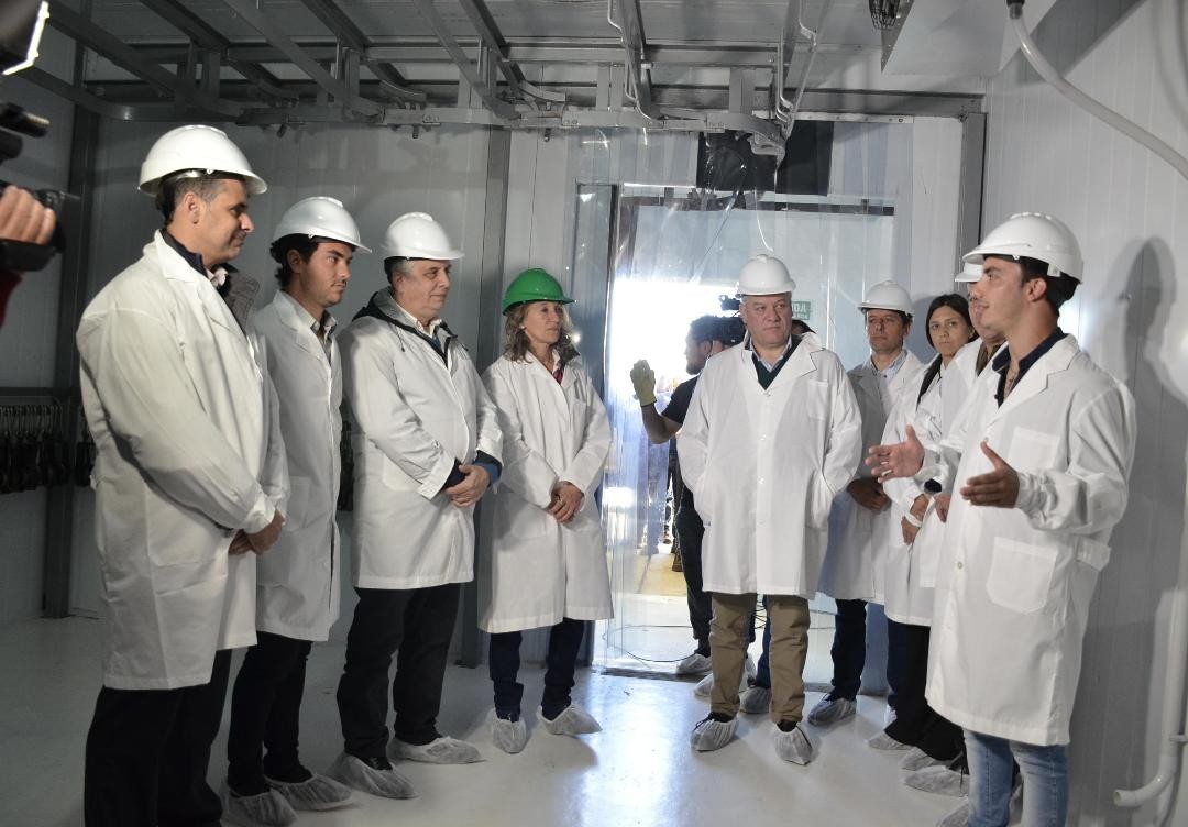 ACTIVIDAD EN ARATA 1