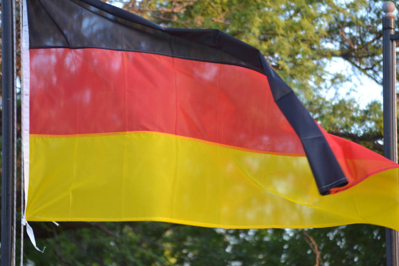 45980e45-b355-4273-9d2c-a6df57d593d8