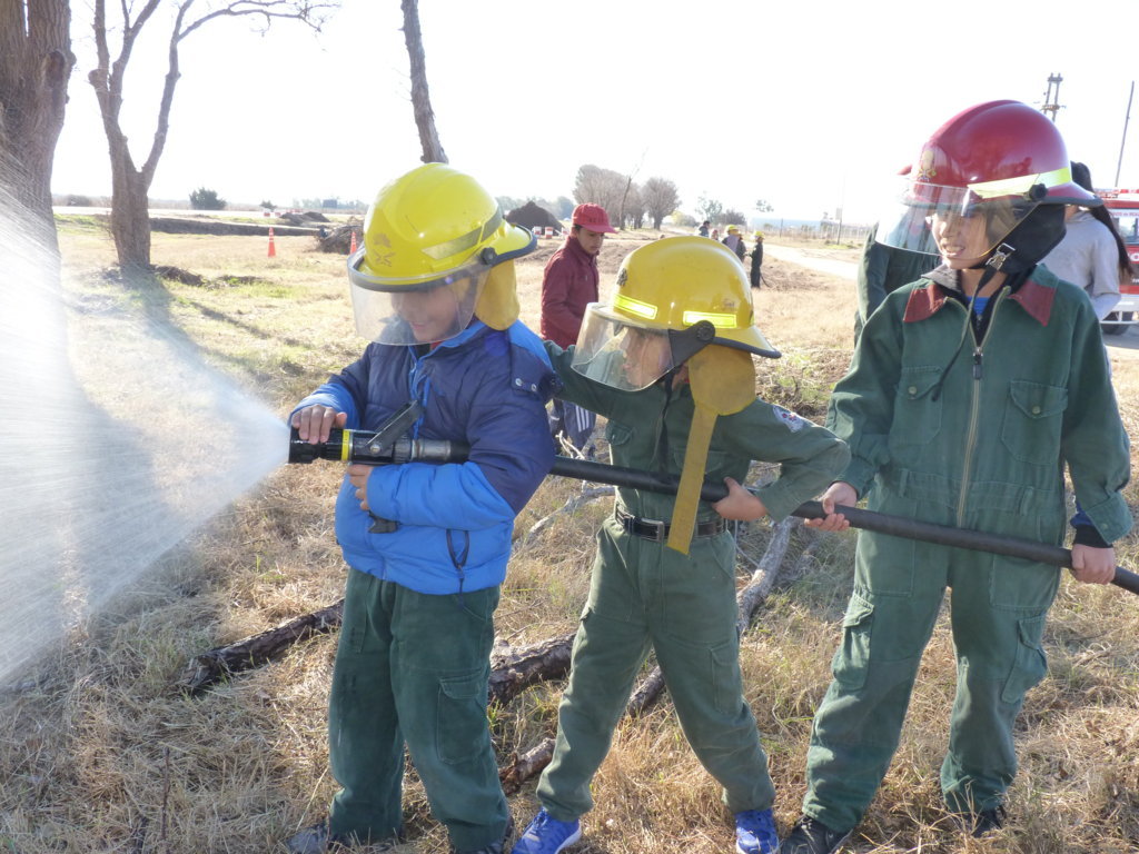 P1210888 (FILEminimizer)