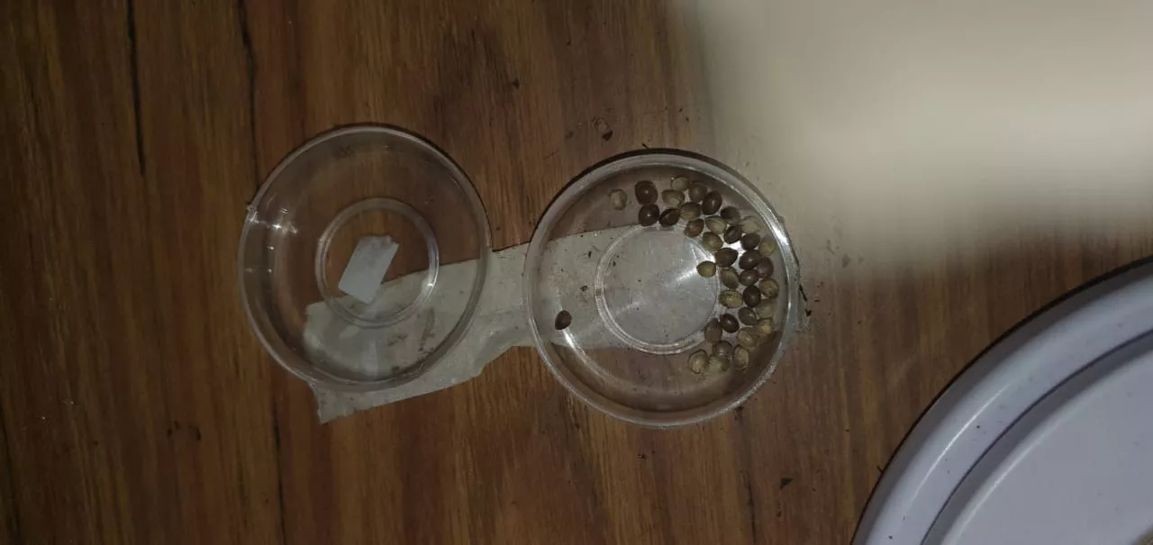 57687_whatsapp-image-2021-11-12-at-09.54.07--1-