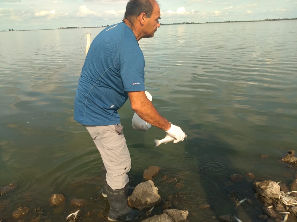 51d9f5ff-9048-4f84-a6e6-c0f4bfa0c263