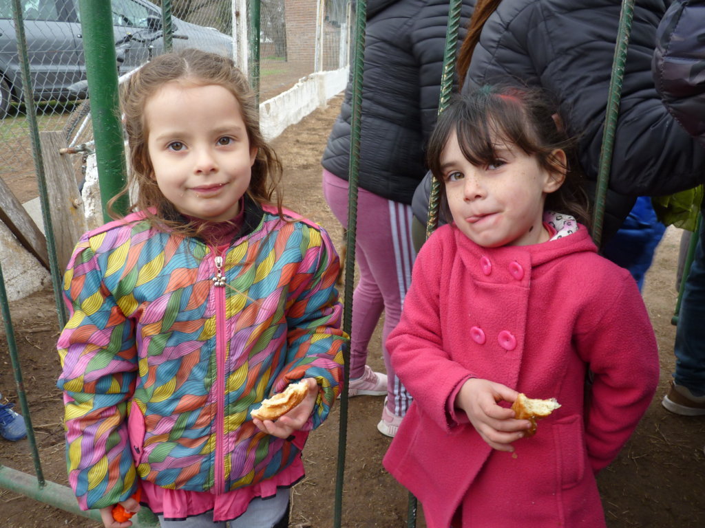 P1250445 (FILEminimizer)