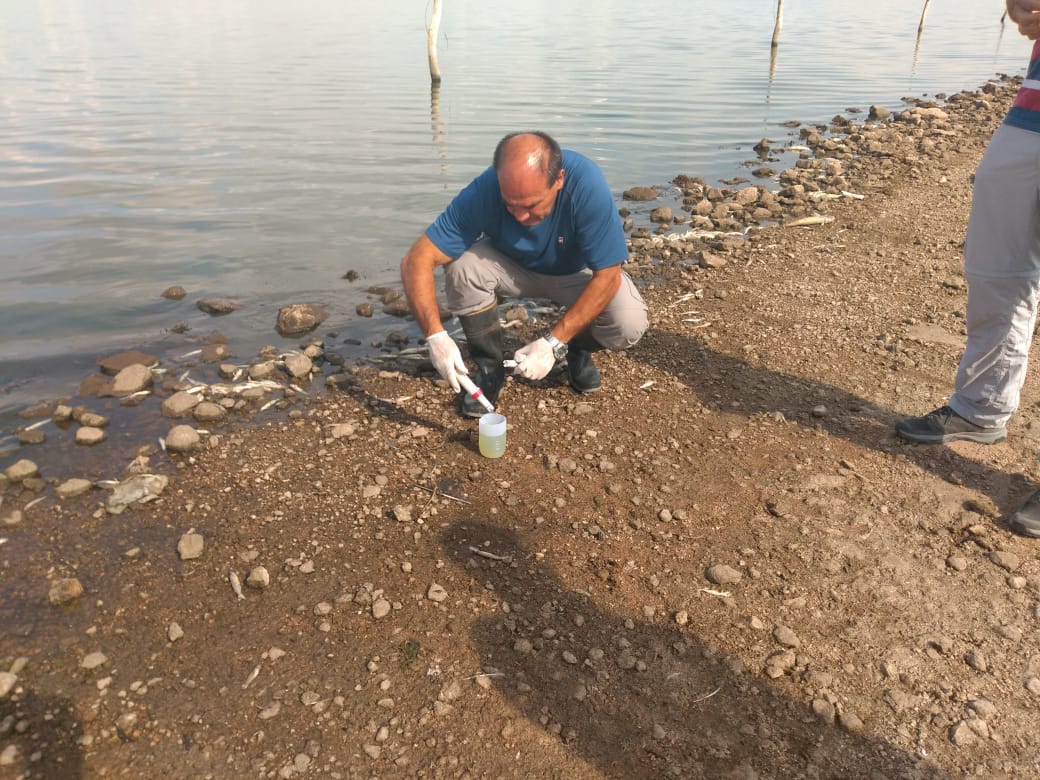 774662e6-63c2-4932-bf2d-c7685b98306d