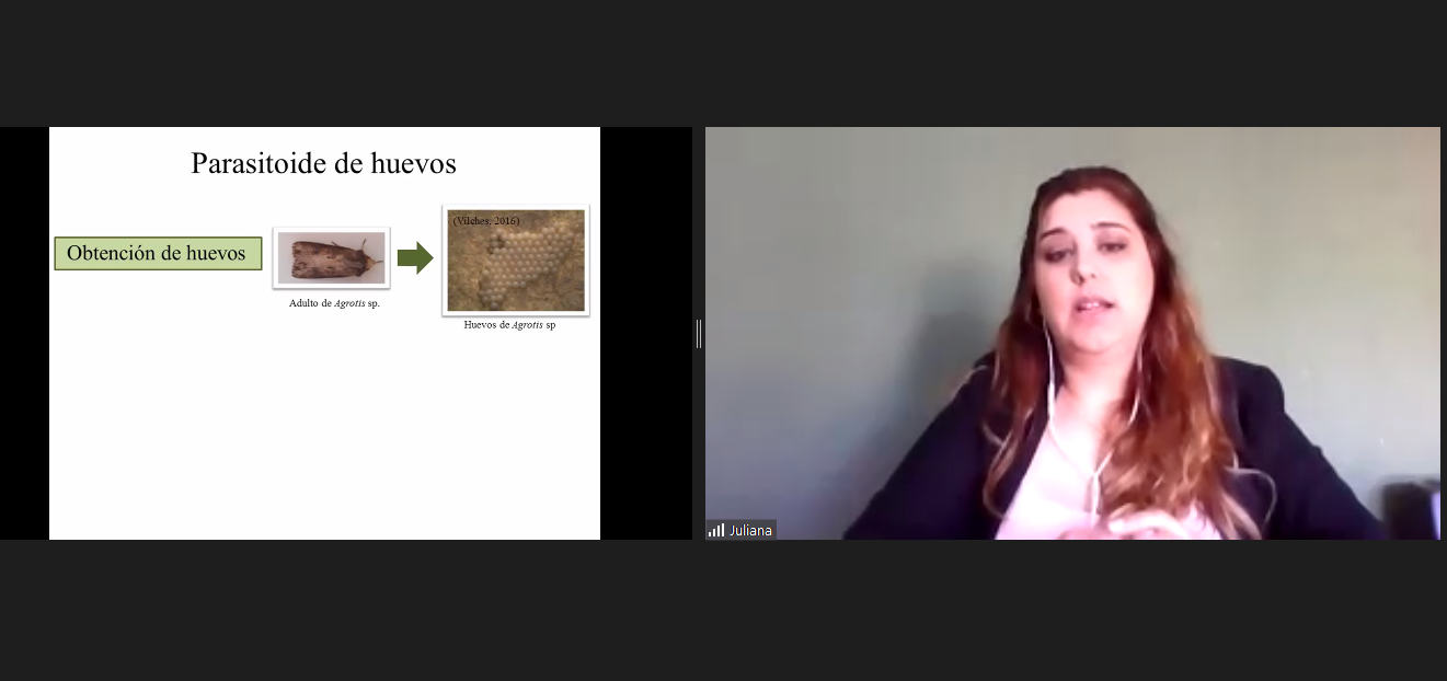 122768384_3532426433648442_4341242638287022400_o