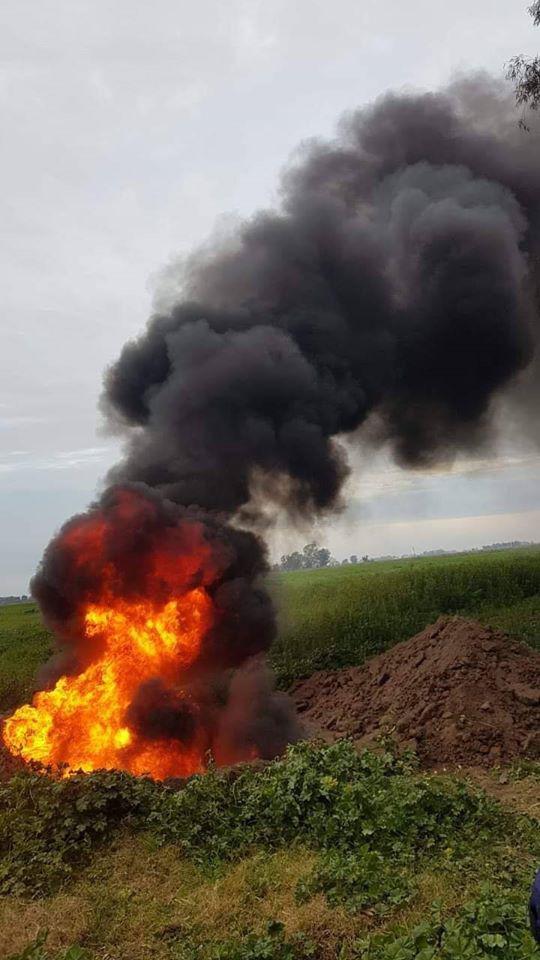 108050660_3952444588163350_8300705945472745307_o