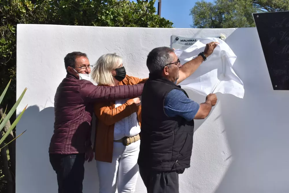 Malvinas Realicó 4