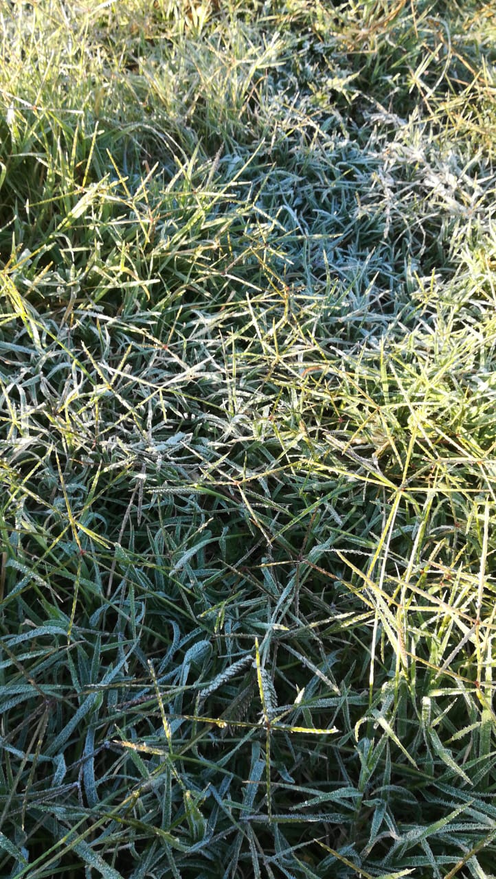 95fe08c1-01fa-4943-869a-9bb44ebb04de