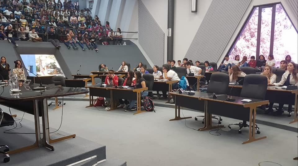 60355065_2448092341869090_663620391951925248_n